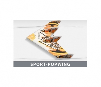 techone sport popwing epp combo
